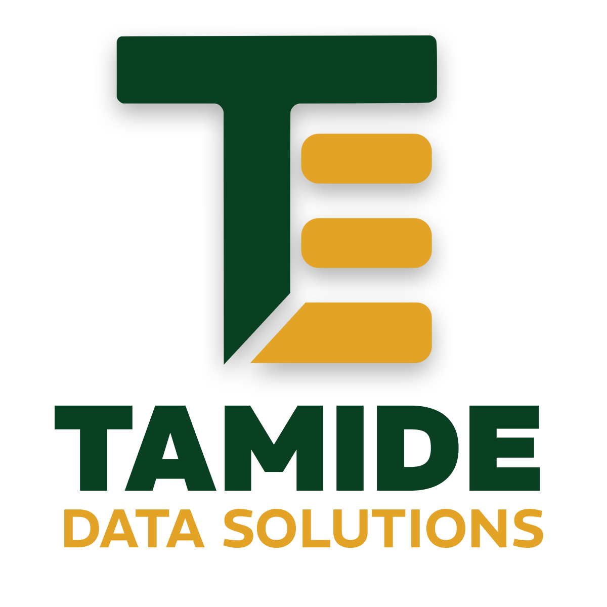 Tamide Data Solutions